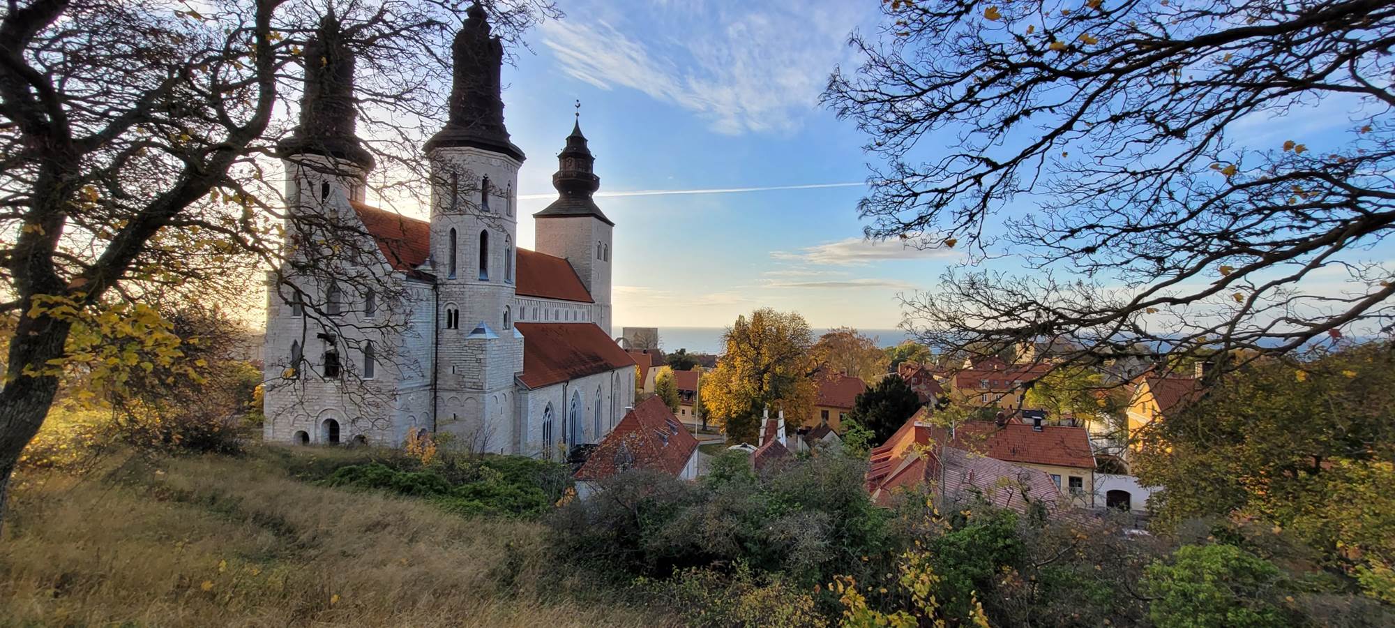 Obraz zawieraj�cy drzewo, trawa, zewn�trzne, dom

Opis wygenerowany automatycznie