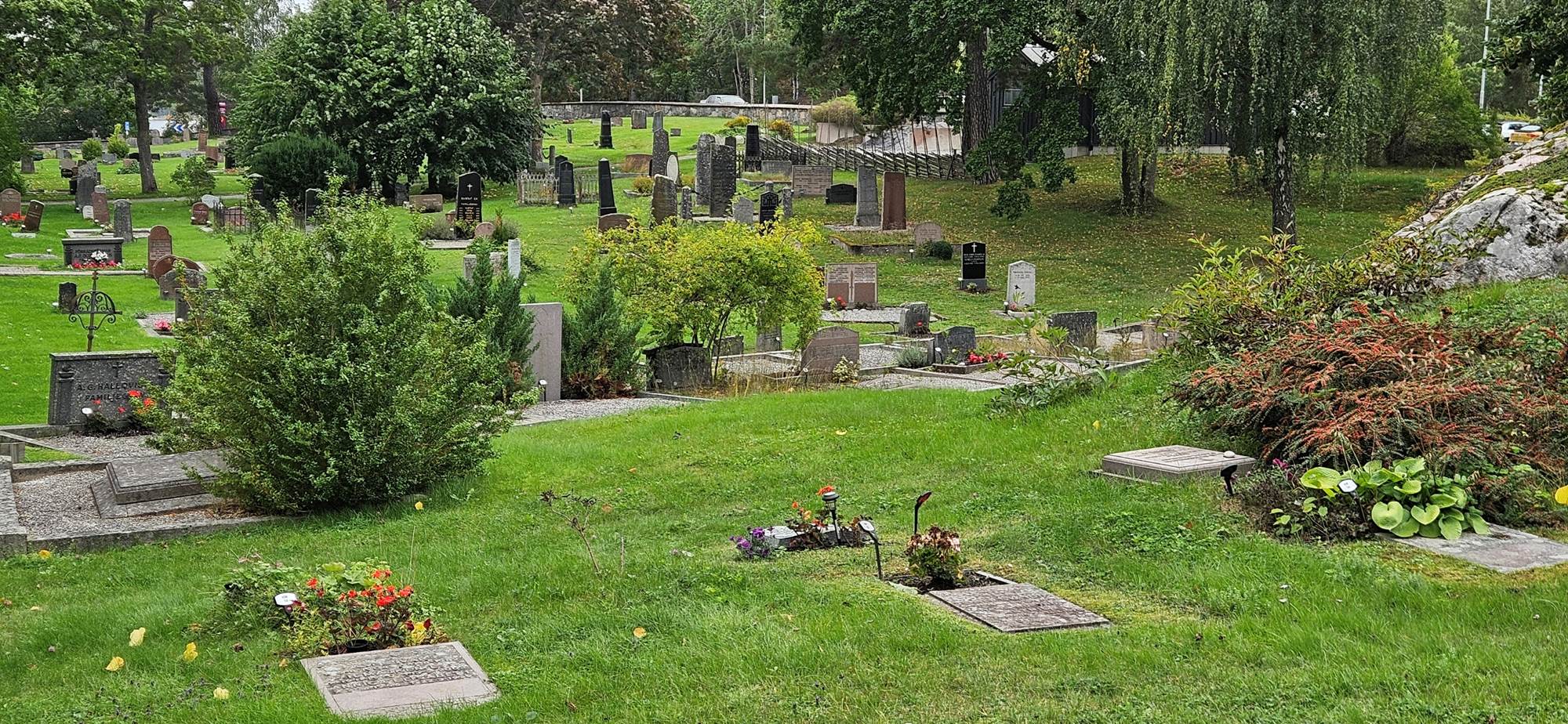 Obraz zawieraj�cy na wolnym powietrzu, trawa, gr�b, Runo

Zawarto�� wygenerowana przez AI mo�e by� niepoprawna.